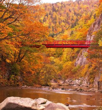 繽紛北海道｜Maple Love 秋狩紅葉旅行11日    