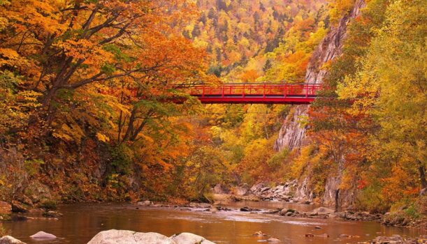 繽紛北海道｜Maple Love 秋狩紅葉旅行11日    