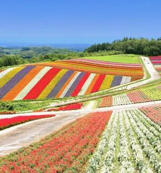 繽紛北海道｜Green Love 夏季花旅行10日